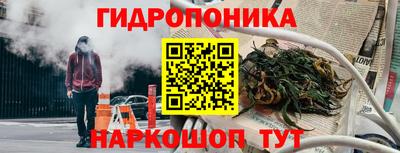 дживик Кимры