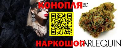 дживик Кимры